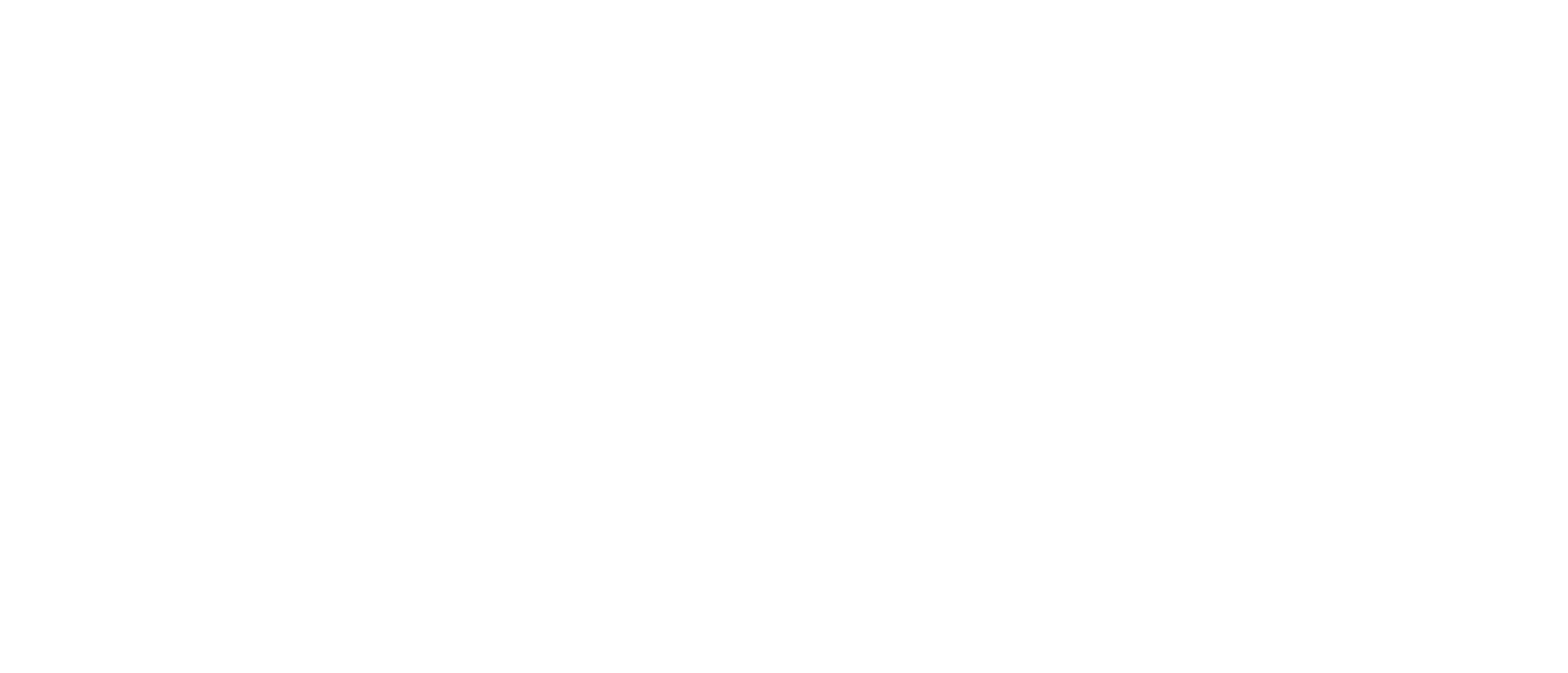 navras proversite logo light